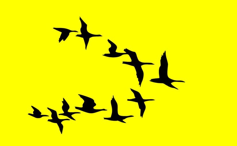 Migrationsmissverständnis