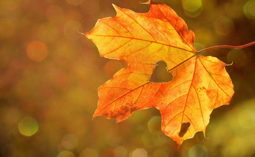 Endlich Herbst